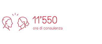 11550 ore die consulenza